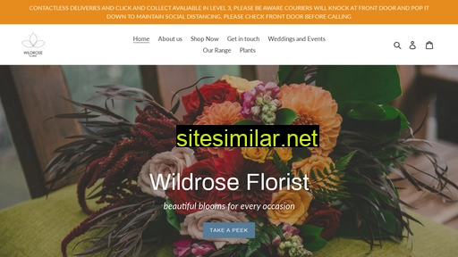 wildroseflorist.co.nz alternative sites