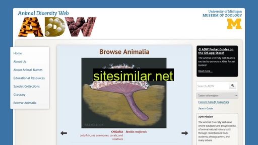 animaldiversity.org alternative sites