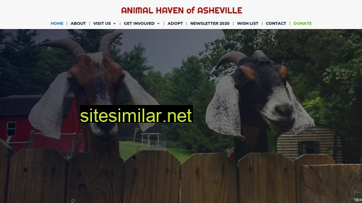 animalhavenofasheville.org alternative sites