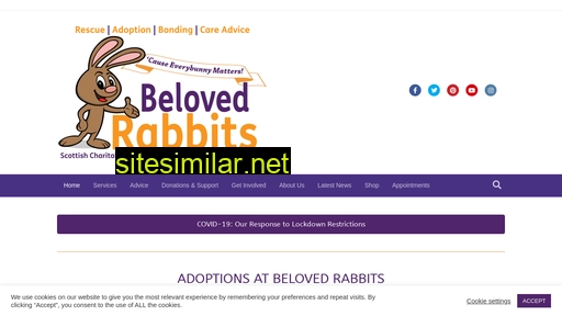 belovedrabbits.org alternative sites