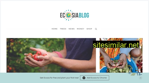 blog.ecosia.org alternative sites