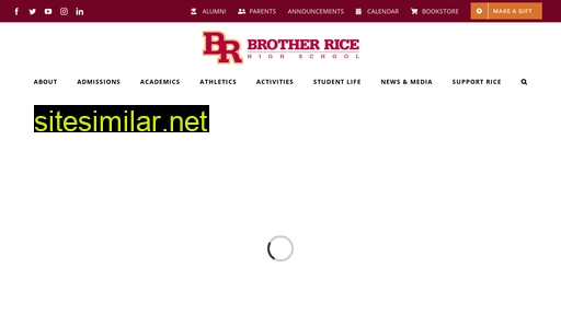 brotherrice.org alternative sites