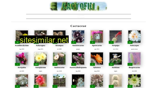 cactofili.org alternative sites