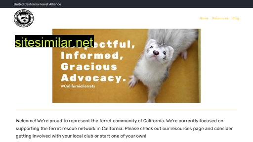 californiaferrets.org alternative sites