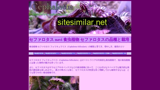 cephalotus.org alternative sites