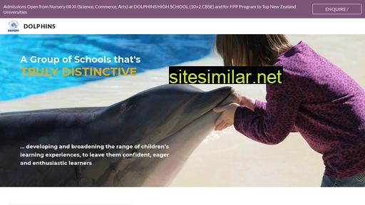 dolphinsgroup.org alternative sites