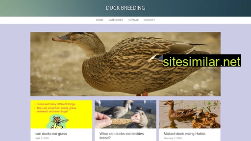 Ducksmudge similar sites