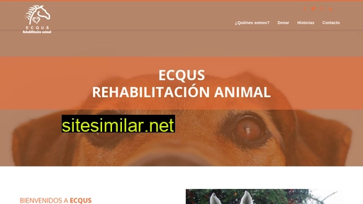 ecqus.org alternative sites
