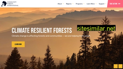 forestsinternational.org alternative sites