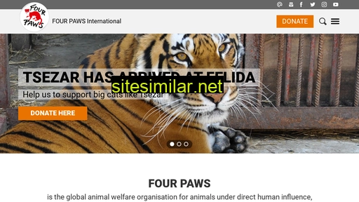 four-paws.org alternative sites