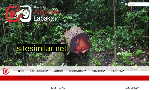 fundacionlabaka.org alternative sites