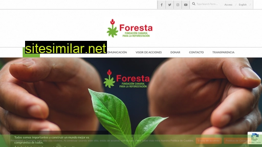 fundacionforesta.org alternative sites