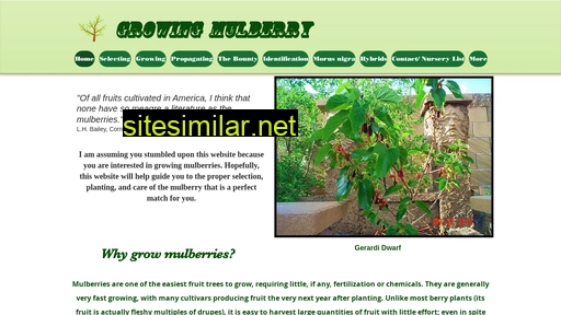growingmulberry.org alternative sites