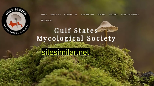 gsmyco.org alternative sites