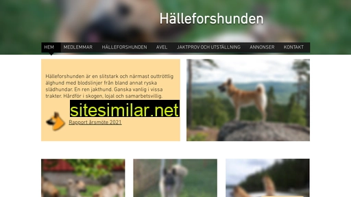halleforshunden.org alternative sites