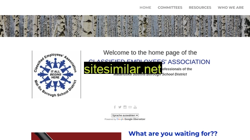 matsucea.org alternative sites