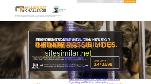 millioncatchallenge.org alternative sites