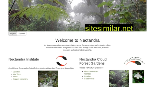 Nectandra similar sites