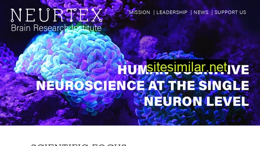 Neurtex similar sites