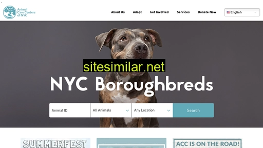 nycacc.org alternative sites