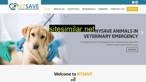 nysave.org alternative sites