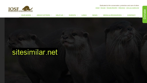 otter.org alternative sites