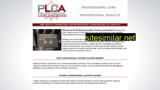 Professionalleathercleaners similar sites