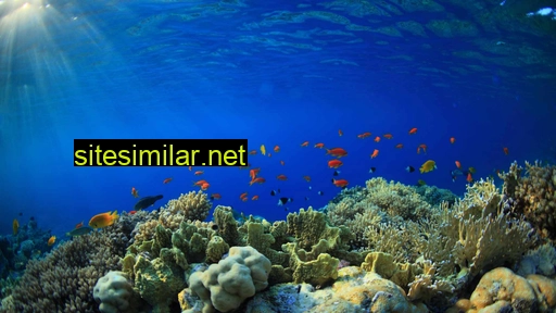 Reefcurrents similar sites