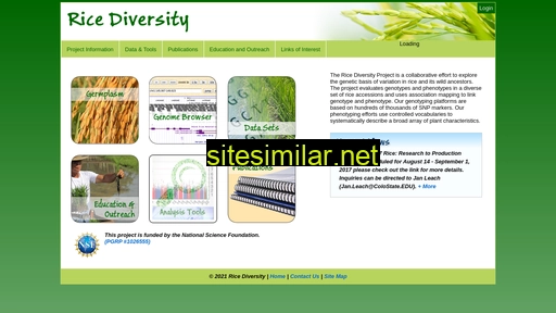 Ricediversity similar sites