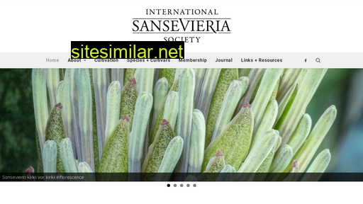 sansevieria-international.org alternative sites