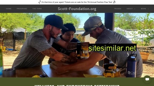 Scott-foundation similar sites