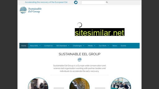 sustainableeelgroup.org alternative sites