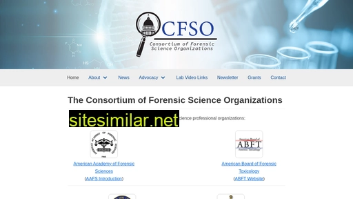 thecfso.org alternative sites