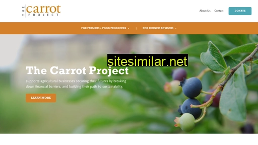Thecarrotproject similar sites