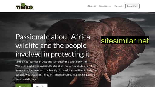 Timbo-afrika-foundation similar sites