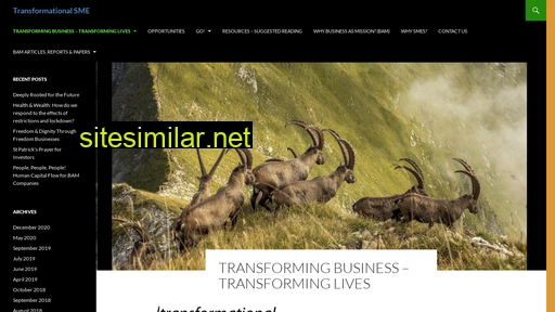transformationalsme.org alternative sites