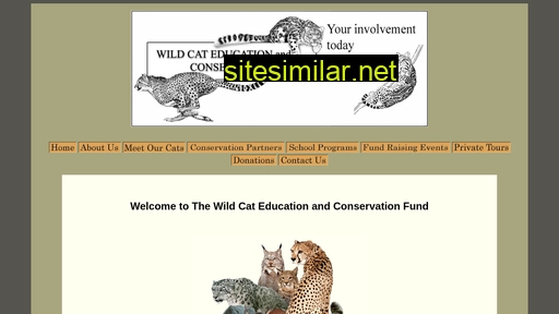 wildcatfund.org alternative sites
