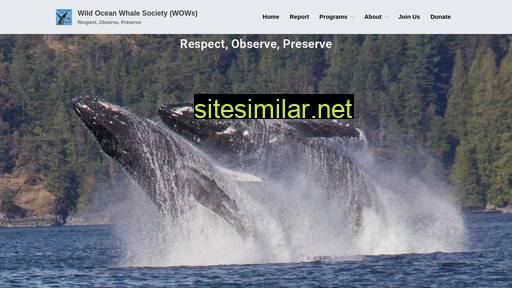 wildoceanwhale.org alternative sites