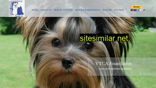 ytcaf.org alternative sites