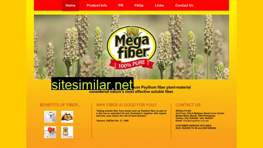 megafiber.com.ph alternative sites