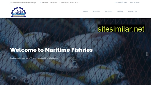 maritimefisheries.com.pk alternative sites