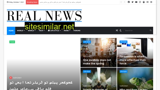 realnews.pk alternative sites