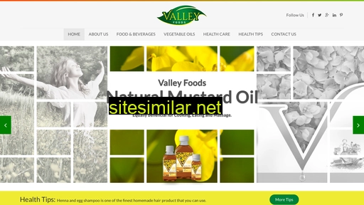 valleyfoods.com.pk alternative sites