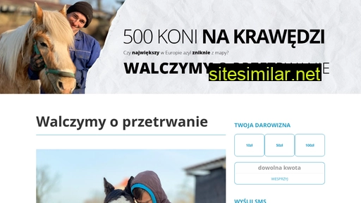 1000koni.pl alternative sites