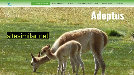 adeptus.szkola.pl alternative sites