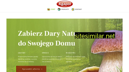 agapol-gubin.pl alternative sites
