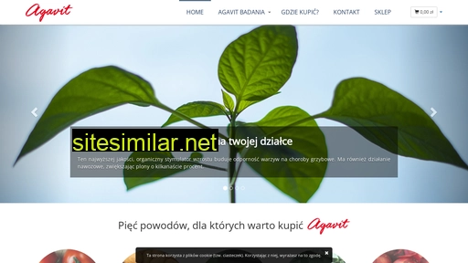 agavit.pl alternative sites