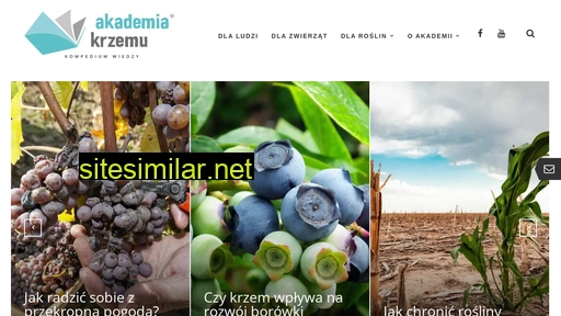 akademiakrzemu.pl alternative sites
