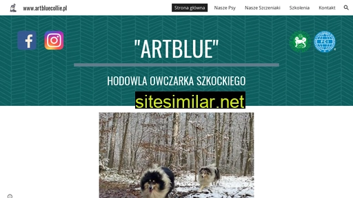 artbluecollie.pl alternative sites