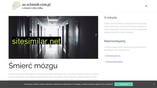 as-schmidt.com.pl alternative sites